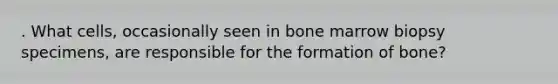 . What cells, occasionally seen in bone marrow biopsy specimens, are responsible for the formation of bone?