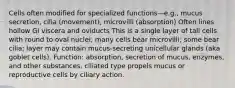 Cells often modified for specialized functions—e.g., mucus secretion, cilia (movement), microvilli (absorption) Often lines hollow GI viscera and oviducts This is a single layer of tall cells with round to oval nuclei; many cells bear microvilli; some bear cilia; layer may contain mucus-secreting unicellular glands (aka goblet cells). Function: absorption, secretion of mucus, enzymes, and other substances, ciliated type propels mucus or reproductive cells by ciliary action.