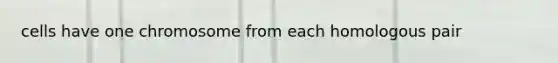 cells have one chromosome from each homologous pair