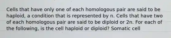 Cells that have only one of each homologous pair are said to be haploid, a condition that is represented by n. Cells that have two of each homologous pair are said to be diploid or 2n. For each of the following, is the cell haploid or diploid? Somatic cell