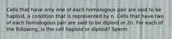 Cells that have only one of each homologous pair are said to be haploid, a condition that is represented by n. Cells that have two of each homologous pair are said to be diploid or 2n. For each of the following, is the cell haploid or diploid? Sperm