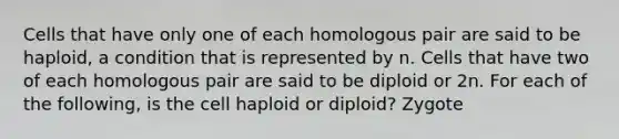 Cells that have only one of each homologous pair are said to be haploid, a condition that is represented by n. Cells that have two of each homologous pair are said to be diploid or 2n. For each of the following, is the cell haploid or diploid? Zygote