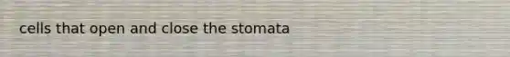 cells that open and close the stomata