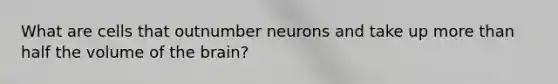 What are cells that outnumber neurons and take up more than half the volume of the brain?