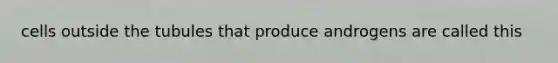 cells outside the tubules that produce androgens are called this