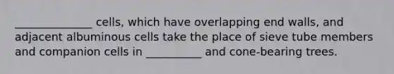 ______________ cells, which have overlapping end walls, and adjacent albuminous cells take the place of sieve tube members and companion cells in __________ and cone-bearing trees.