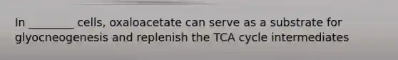 In ________ cells, oxaloacetate can serve as a substrate for glyocneogenesis and replenish the TCA cycle intermediates