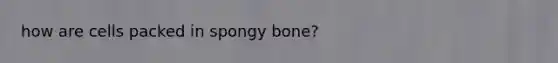 how are cells packed in spongy bone?