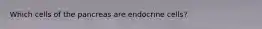 Which cells of the pancreas are endocrine cells?