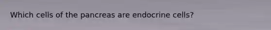 Which cells of the pancreas are endocrine cells?