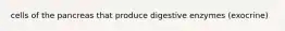 cells of the pancreas that produce digestive enzymes (exocrine)