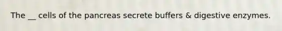 The __ cells of <a href='https://www.questionai.com/knowledge/kITHRba4Cd-the-pancreas' class='anchor-knowledge'>the pancreas</a> secrete buffers & <a href='https://www.questionai.com/knowledge/kK14poSlmL-digestive-enzymes' class='anchor-knowledge'>digestive enzymes</a>.