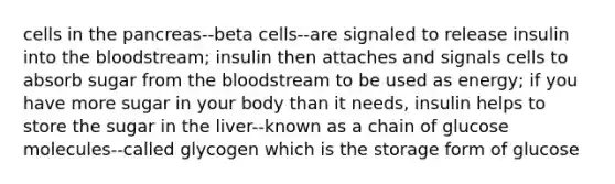 cells in the pancreas--beta cells--are signaled to release insulin into the bloodstream; insulin then attaches and signals cells to absorb sugar from the bloodstream to be used as energy; if you have more sugar in your body than it needs, insulin helps to store the sugar in the liver--known as a chain of glucose molecules--called glycogen which is the storage form of glucose