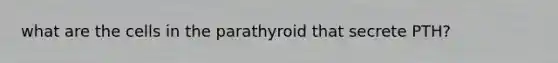 what are the cells in the parathyroid that secrete PTH?