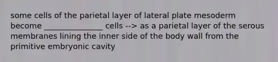 some cells of the parietal layer of lateral plate mesoderm become _______________ cells --> as a parietal layer of the serous membranes lining the inner side of the body wall from the primitive embryonic cavity