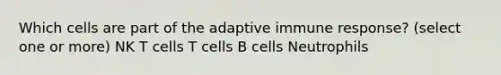 Which cells are part of the adaptive immune response? (select one or more) NK T cells T cells B cells Neutrophils