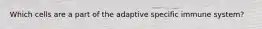 Which cells are a part of the adaptive specific immune system?