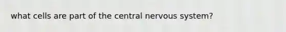 what cells are part of the central nervous system?