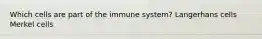 Which cells are part of the immune system? Langerhans cells Merkel cells