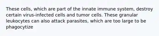 These cells, which are part of the innate immune system, destroy certain virus-infected cells and tumor cells. These granular leukocytes can also attack parasites, which are too large to be phagocytize