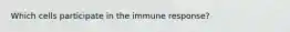 Which cells participate in the immune response?