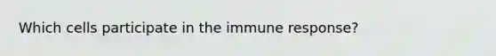 Which cells participate in the immune response?