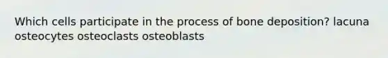 Which cells participate in the process of bone deposition? lacuna osteocytes osteoclasts osteoblasts