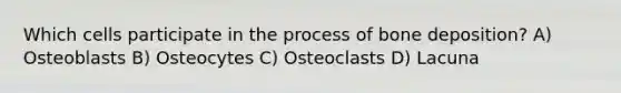 Which cells participate in the process of bone deposition? A) Osteoblasts B) Osteocytes C) Osteoclasts D) Lacuna