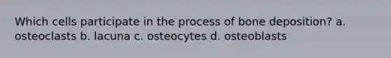 Which cells participate in the process of bone deposition? a. osteoclasts b. lacuna c. osteocytes d. osteoblasts