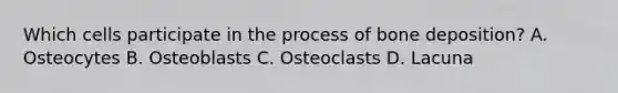 Which cells participate in the process of bone deposition? A. Osteocytes B. Osteoblasts C. Osteoclasts D. Lacuna