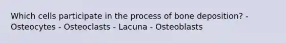 Which cells participate in the process of bone deposition? - Osteocytes - Osteoclasts - Lacuna - Osteoblasts