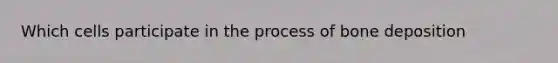 Which cells participate in the process of bone deposition