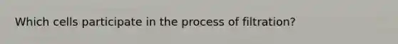 Which cells participate in the process of filtration?