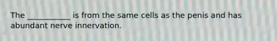 The ___________ is from the same cells as the penis and has abundant nerve innervation.