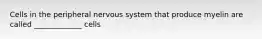 Cells in the peripheral nervous system that produce myelin are called _____________ cells