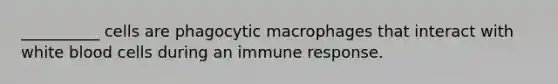 __________ cells are phagocytic macrophages that interact with white blood cells during an immune response.