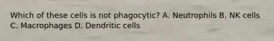 Which of these cells is not phagocytic? A. Neutrophils B. NK cells C. Macrophages D. Dendritic cells