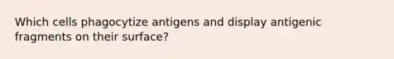 Which cells phagocytize antigens and display antigenic fragments on their surface?