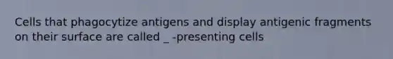 Cells that phagocytize antigens and display antigenic fragments on their surface are called _ -presenting cells