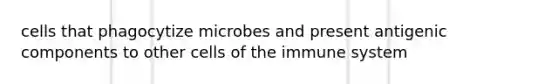 cells that phagocytize microbes and present antigenic components to other cells of the immune system