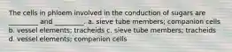 The cells in phloem involved in the conduction of sugars are _________ and _________. a. sieve tube members; companion cells b. vessel elements; tracheids c. sieve tube members; tracheids d. vessel elements; companion cells