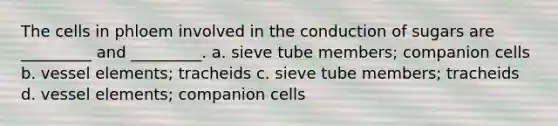 The cells in phloem involved in the conduction of sugars are _________ and _________. a. sieve tube members; companion cells b. vessel elements; tracheids c. sieve tube members; tracheids d. vessel elements; companion cells