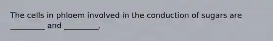 The cells in phloem involved in the conduction of sugars are _________ and _________.