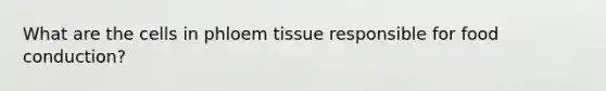 What are the cells in phloem tissue responsible for food conduction?