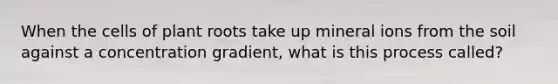 When the cells of plant roots take up mineral ions from the soil against a concentration gradient, what is this process called?