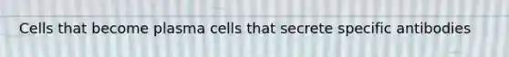 Cells that become plasma cells that secrete specific antibodies