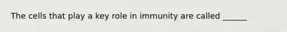 The cells that play a key role in immunity are called ______