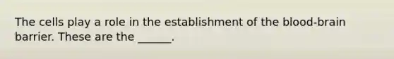 The cells play a role in the establishment of the blood-brain barrier. These are the ______.