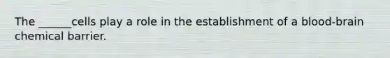 The ______cells play a role in the establishment of a blood-brain chemical barrier.