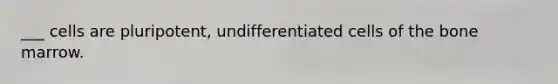 ___ cells are pluripotent, undifferentiated cells of the bone marrow.